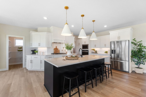 OneTenTen Homes Maverick Model - 19533 Hamburg Ave., Lakeville