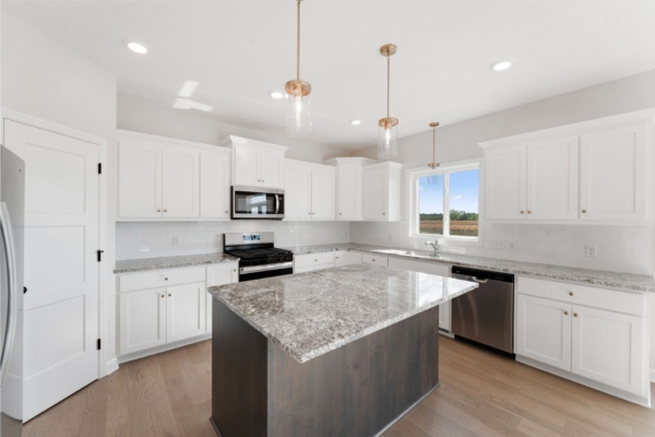 OneTenTen Homes Payton Spec - 1292 Ardcurra Row, Rosemount