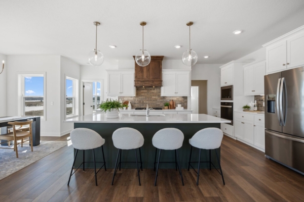 OneTenTen Homes Savanna XL Spec - 15044 Ardmullivan Lane, Rosemount