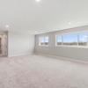 OneTenTen Homes Payton XL Spec - 15035 Ardmullivan Ln., Rosemount