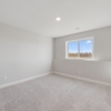 OneTenTen Homes Payton XL Spec - 15035 Ardmullivan Ln., Rosemount