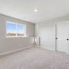 OneTenTen Homes Payton XL Spec - 15035 Ardmullivan Ln., Rosemount