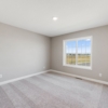 OneTenTen Homes Payton Spec - 1292 Ardcurra Row, Rosemount