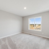 OneTenTen Homes Payton XL Spec - 15035 Ardmullivan Ln., Rosemount