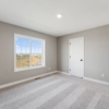 OneTenTen Homes Payton Spec - 1292 Ardcurra Row, Rosemount