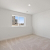 OneTenTen Homes Savanna XL Spec - 15044 Ardmullivan Lane, Rosemount